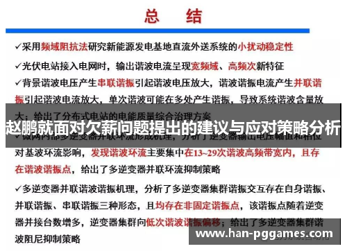 赵鹏就面对欠薪问题提出的建议与应对策略分析