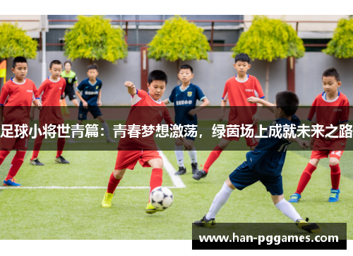 足球小将世青篇：青春梦想激荡，绿茵场上成就未来之路