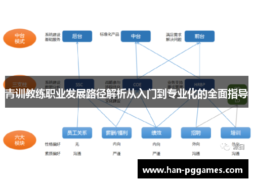 青训教练职业发展路径解析从入门到专业化的全面指导
