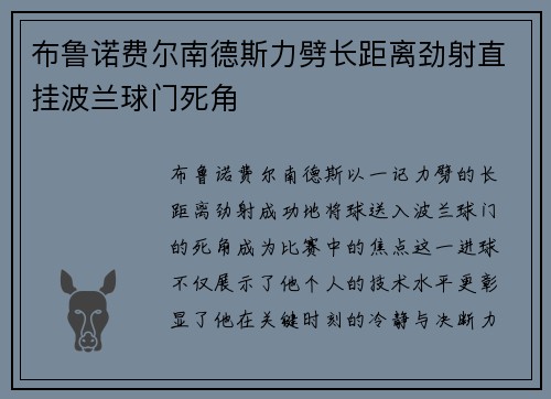 布鲁诺费尔南德斯力劈长距离劲射直挂波兰球门死角